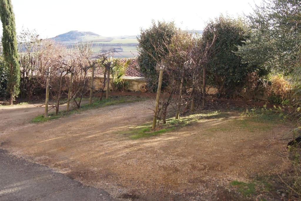 Les Pierres Blondes Apartment Montpeyroux  Luaran gambar